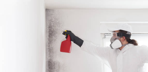 Best Mold Testing  in Northwoods, MO